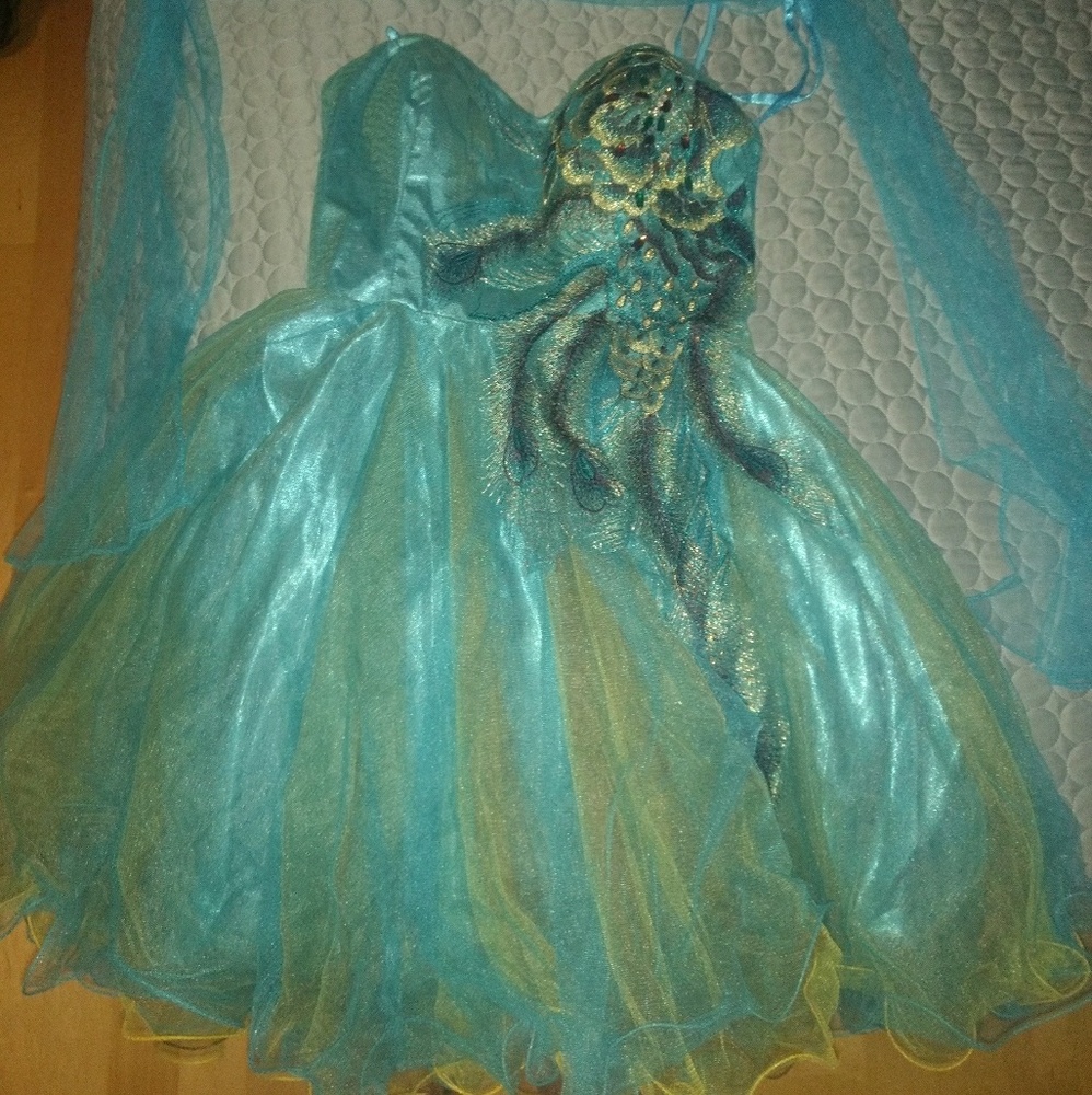 Prom or Formal or Homecoming/Hoco or party Dress